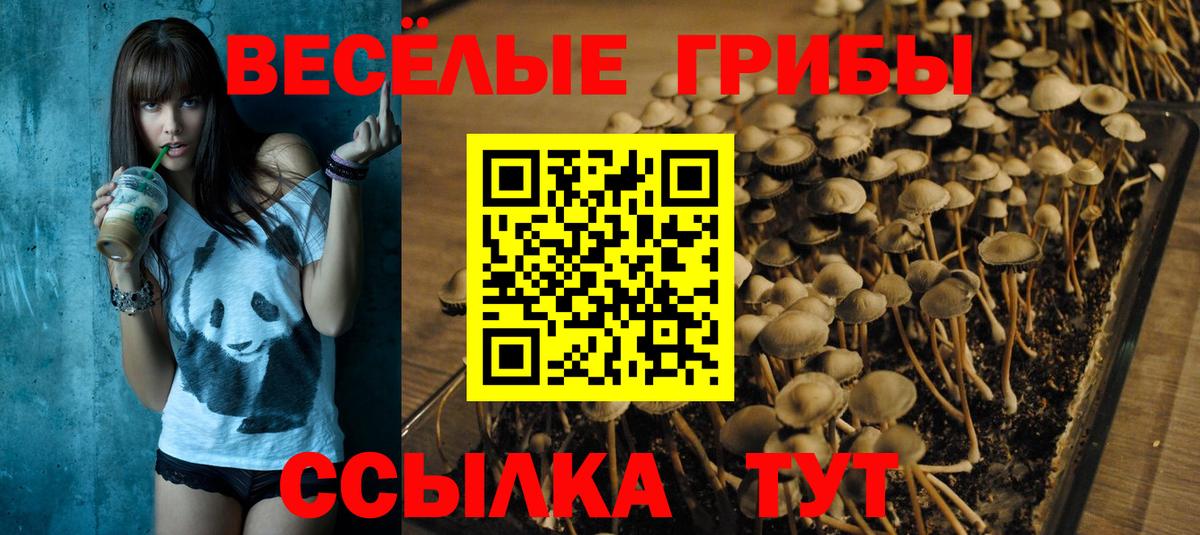 Галлюциногенные грибы ЛСД Куйбышев