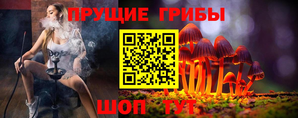 Куйбышев  Галлюциногенные грибы мицелий  Псилоцибиновые грибы мицелий  Вход с VPN 